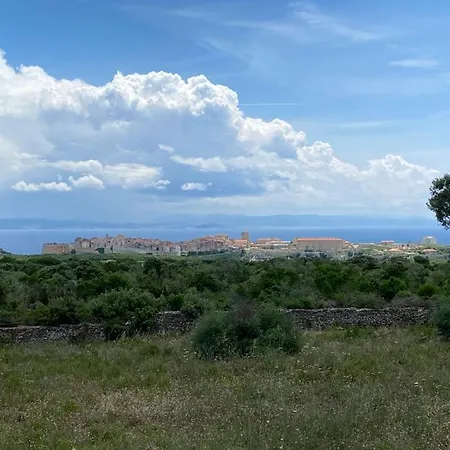 Petit D'ete Avec Piscine Privee Chauffee Chalet Bonifacio (Corsica)